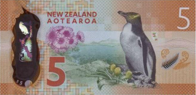 imagem da parte de tras de uma nota de cinco dólares neozelandeses
