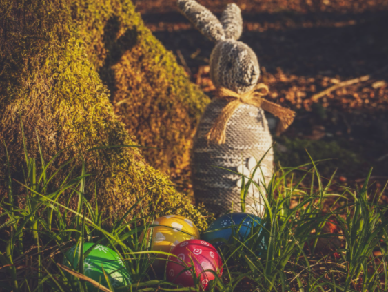 ovos coloridos e boneco de coelho próximos a uma árvore