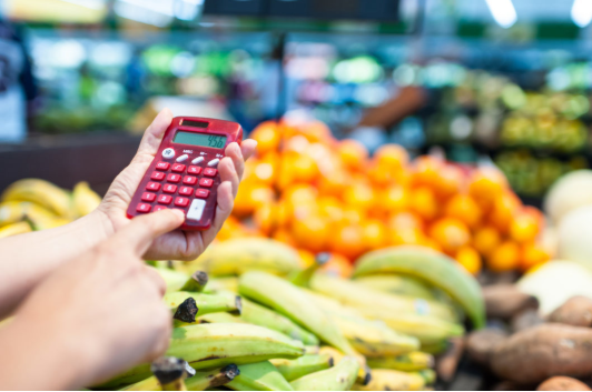 imagem de uma pessoa usando uma calculadora para calcular as compras em um mercado
